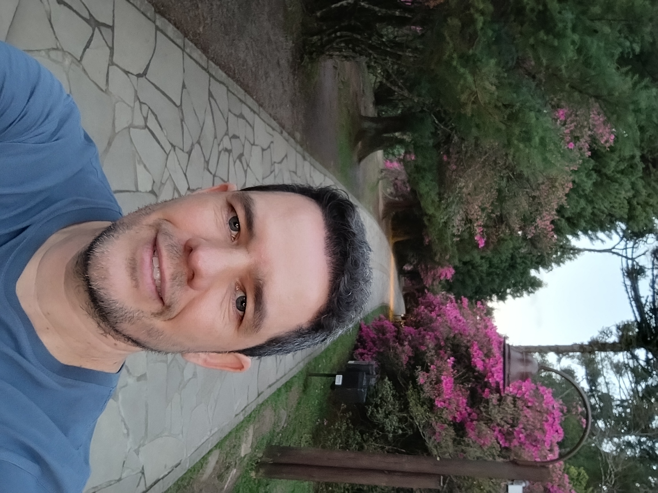 Prof. Dr. Rodrigo Vieira